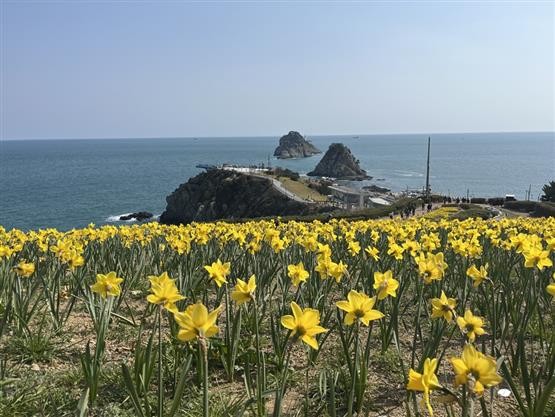 image01.jpg